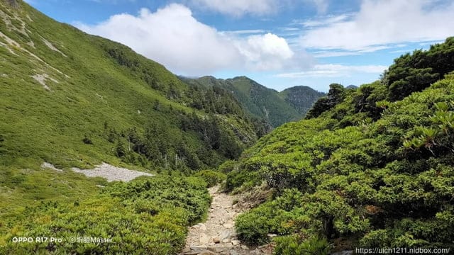 雪主單攻