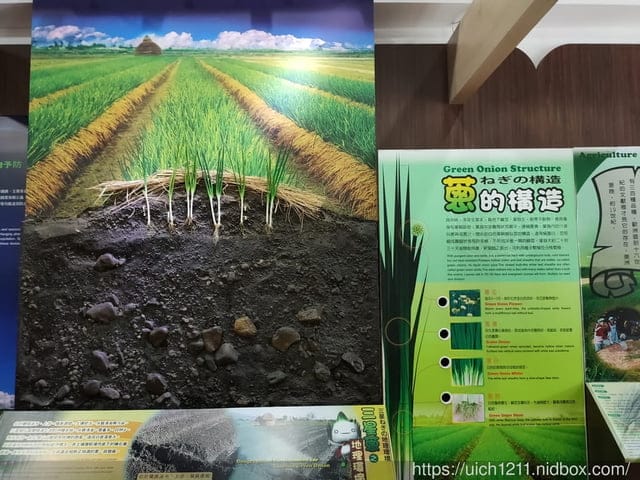宜蘭三星之旅 - 第44張圖 宜蘭三星之旅