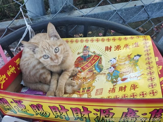 婆婆媽媽台東遊 - 第3張圖 婆婆媽媽台東遊