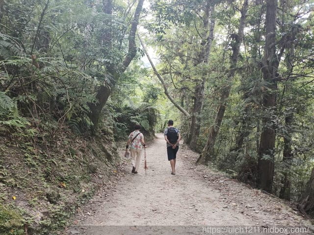 婆婆媽媽台東遊 - 第19張圖 婆婆媽媽台東遊