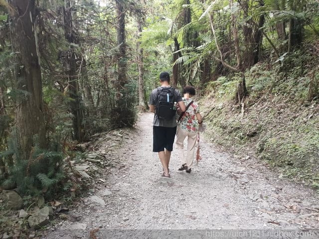 婆婆媽媽台東遊 - 第28張圖 婆婆媽媽台東遊