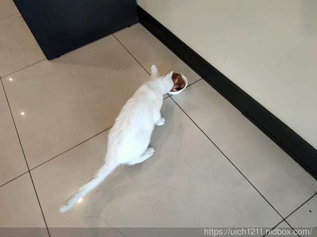 花蓮趴趴走