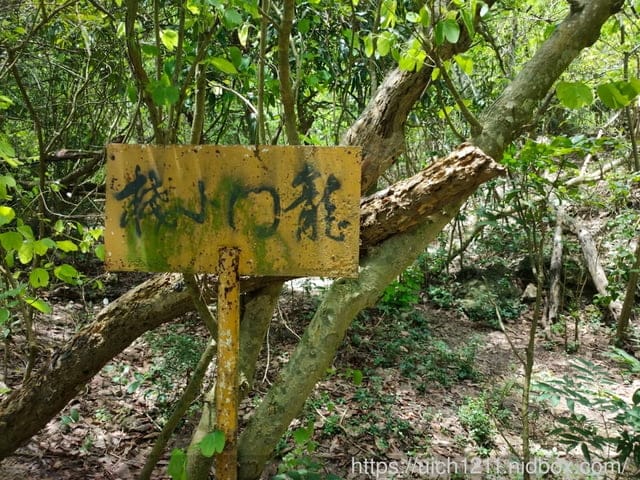 柴山義大遊