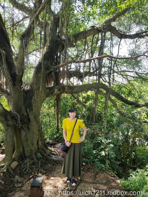 柴山義大遊