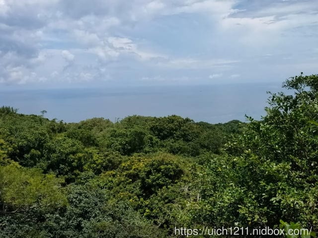 柴山義大遊