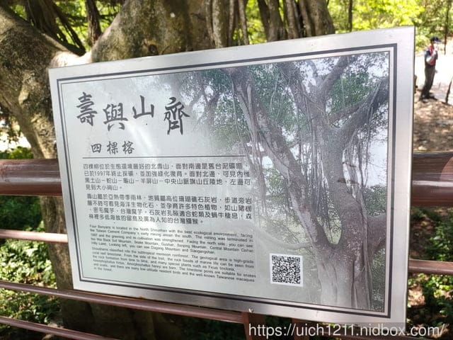 柴山義大遊