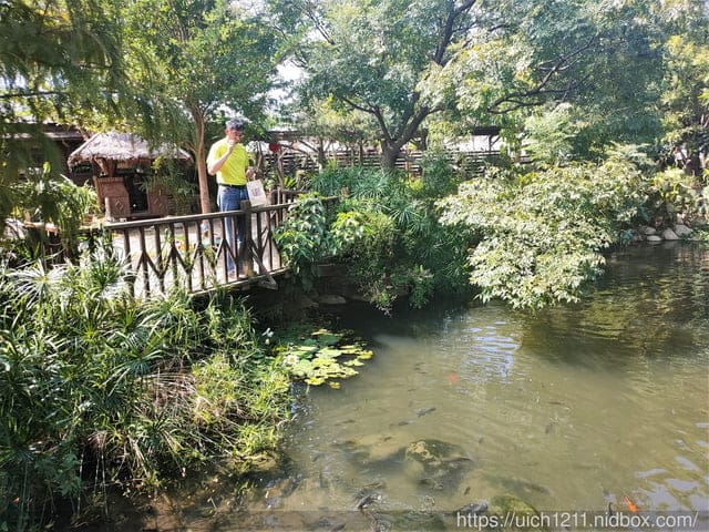 人間食解生態養生坊 - 第17張圖 人間食解生態養生坊