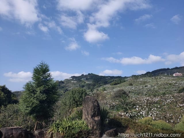 露營與比度咖啡屋 - 第10張圖 露營與比度咖啡屋