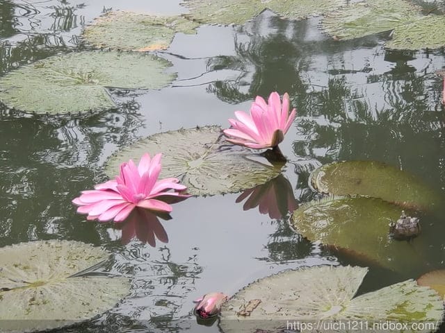 水明漾活蝦景觀餐廳 - 第11張圖 水明漾活蝦景觀餐廳