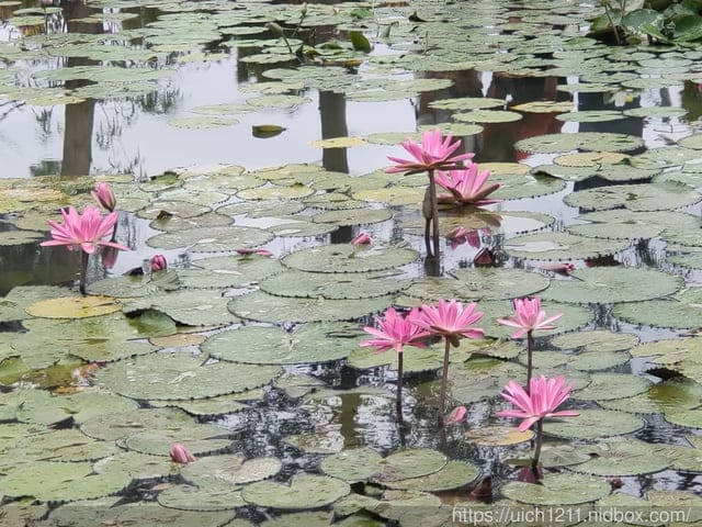 水明漾活蝦景觀餐廳 - 第12張圖 水明漾活蝦景觀餐廳