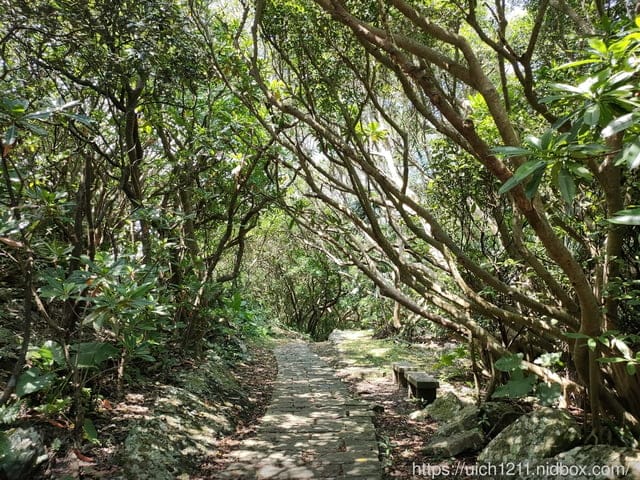 咖啡館.北關海潮公園.大溪漁港 - 第21張圖 咖啡館.北關海潮公園.大溪漁港