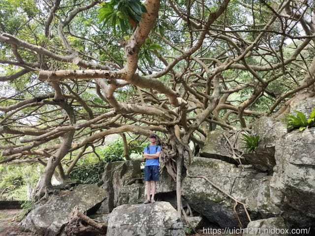 咖啡館.北關海潮公園.大溪漁港 - 第15張圖 咖啡館.北關海潮公園.大溪漁港