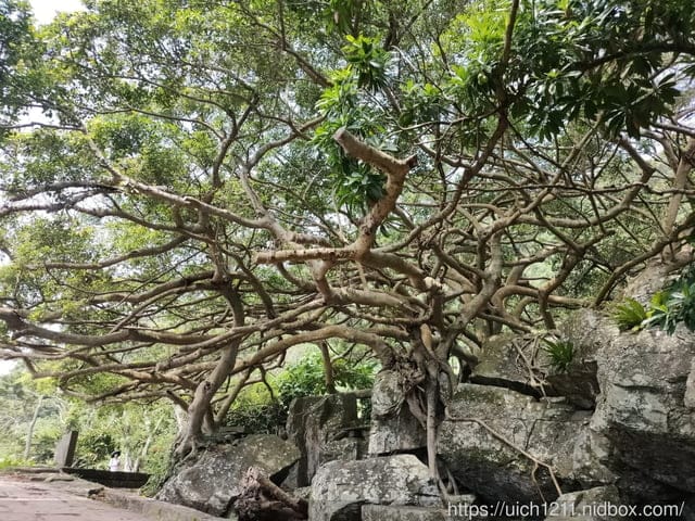 咖啡館.北關海潮公園.大溪漁港 - 第14張圖 咖啡館.北關海潮公園.大溪漁港