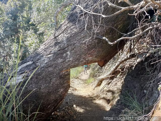 霞喀羅古道 - 第32張圖 霞喀羅古道
