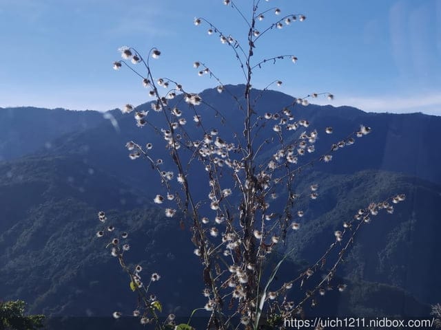 霞喀羅古道 - 第4張圖 霞喀羅古道