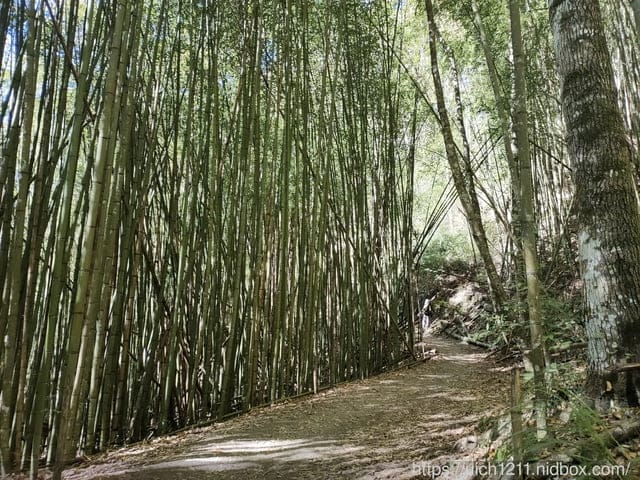 霞喀羅古道 - 第67張圖 霞喀羅古道