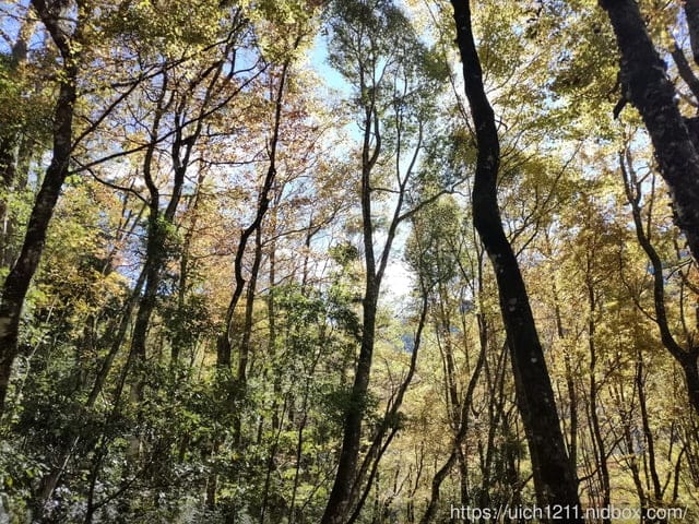 霞喀羅古道 - 第70張圖 霞喀羅古道
