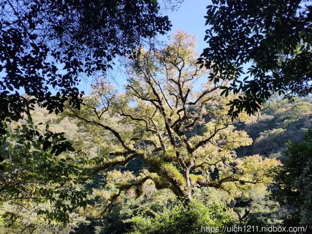霞喀羅古道 - 第55張圖 霞喀羅古道