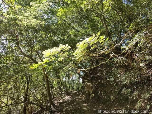 霞喀羅古道 - 第25張圖 霞喀羅古道