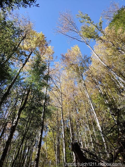 霞喀羅古道 - 第69張圖 霞喀羅古道