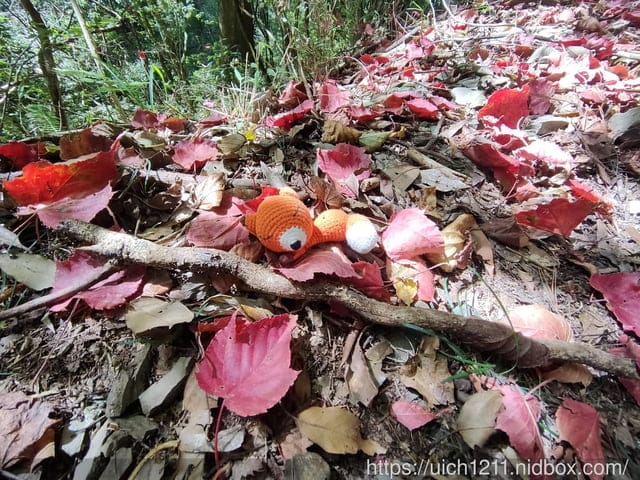 霞喀羅古道 - 第22張圖 霞喀羅古道