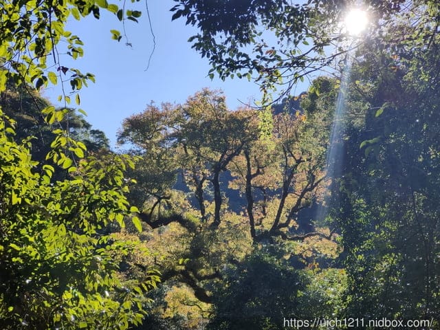 霞喀羅古道 - 第54張圖 霞喀羅古道