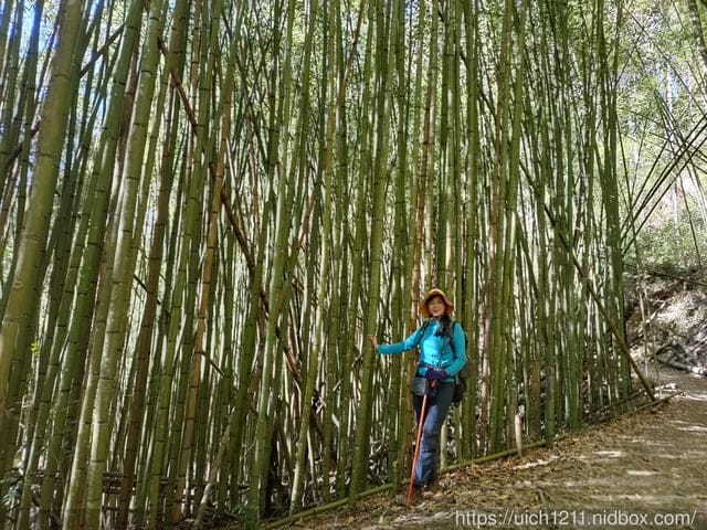 霞喀羅古道 - 第68張圖 霞喀羅古道