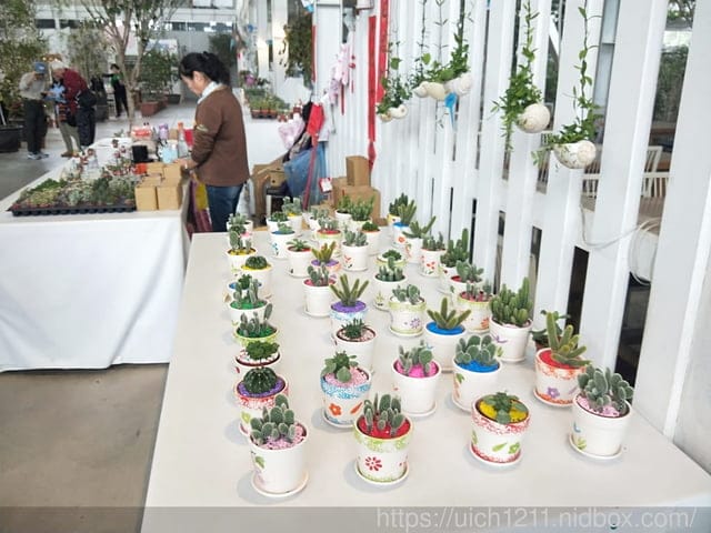 香草菲菲與礁溪 - 第8張圖 香草菲菲與礁溪