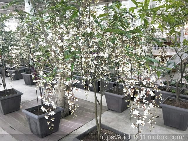 香草菲菲與礁溪 - 第5張圖 香草菲菲與礁溪