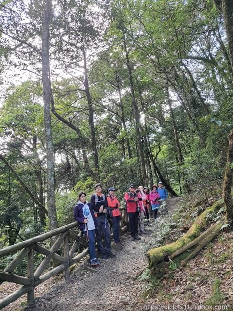 揪愛爬團慶稍來山 - 第23張圖 揪愛爬團慶稍來山