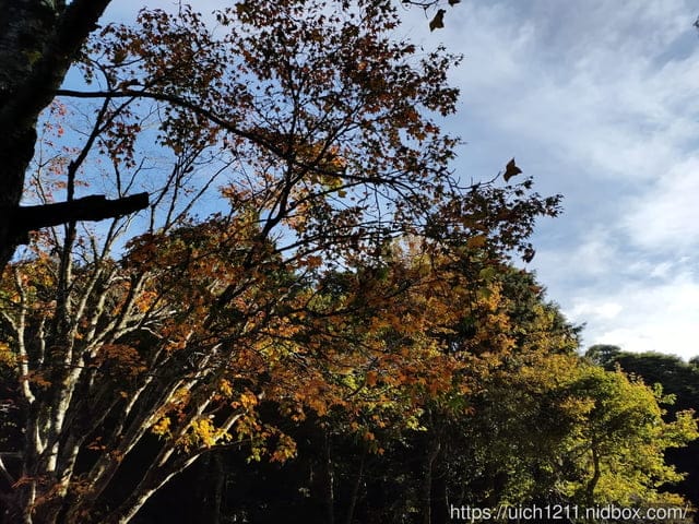 揪愛爬團慶稍來山 - 第6張圖 揪愛爬團慶稍來山