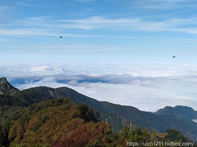 揪愛爬團慶稍來山 - 第15張圖 揪愛爬團慶稍來山