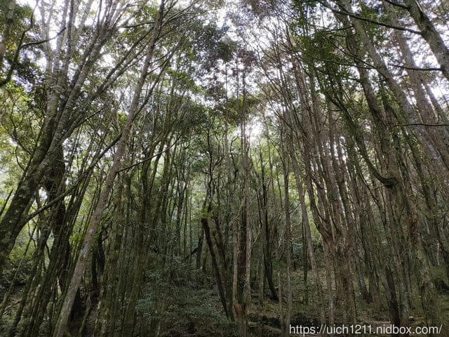 揪愛爬團慶稍來山 - 第9張圖 揪愛爬團慶稍來山