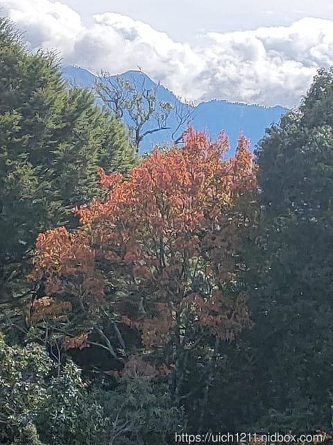 揪愛爬團慶稍來山 - 第21張圖 揪愛爬團慶稍來山