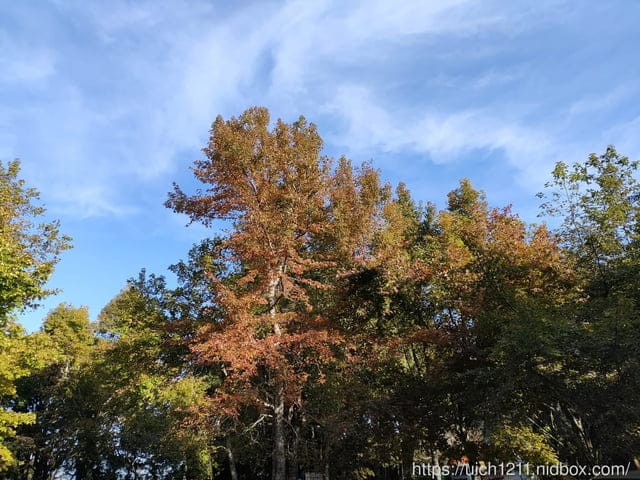 揪愛爬團慶稍來山 - 第5張圖 揪愛爬團慶稍來山