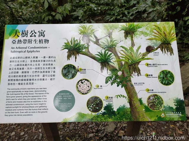 林美石磐步道