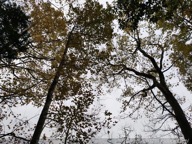 林美石磐步道