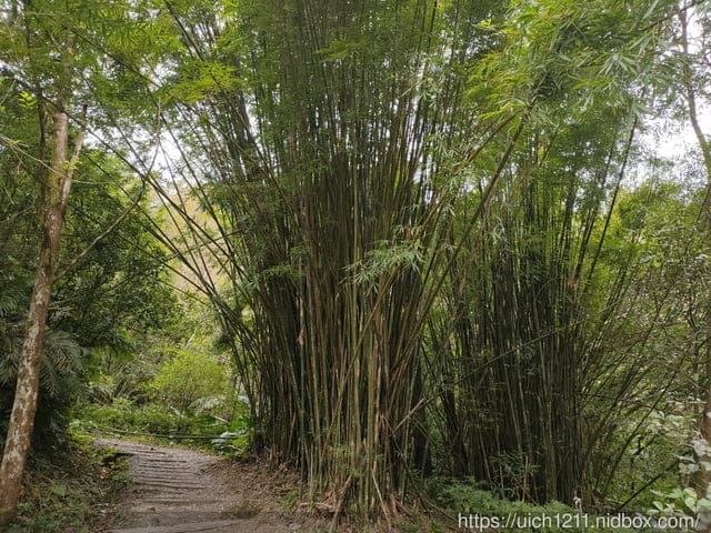 林美石磐步道