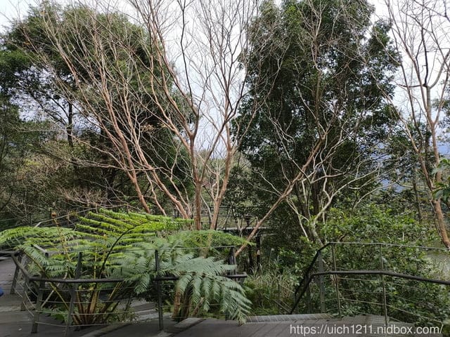 林美石磐步道