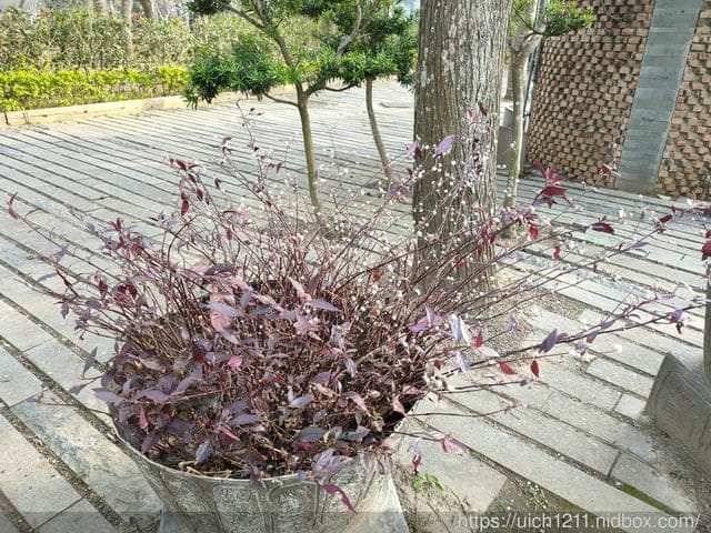 差不多御藏私房 - 第32張圖 差不多御藏私房