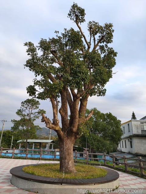 差不多御藏私房 - 第43張圖 差不多御藏私房
