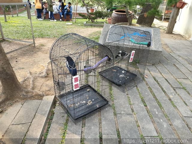 差不多御藏私房 - 第37張圖 差不多御藏私房