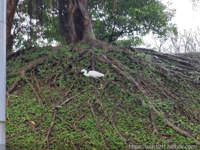 國立傳統藝術中心 - 第24張圖 國立傳統藝術中心