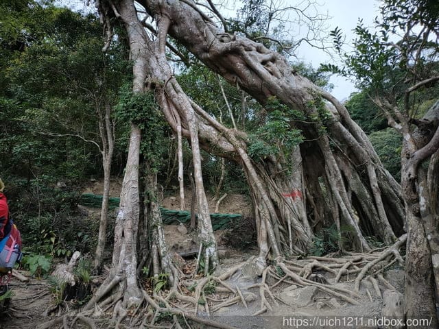 里龍山與浸水營古道 - 第71張圖 里龍山與浸水營古道