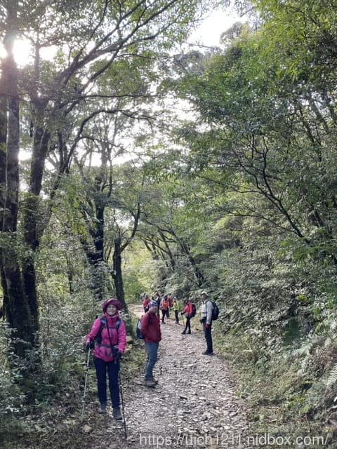 里龍山與浸水營古道 - 第117張圖 里龍山與浸水營古道