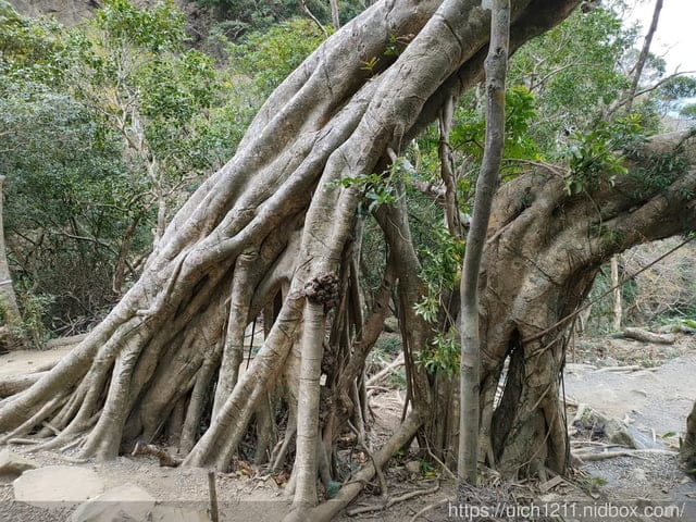 里龍山與浸水營古道 - 第53張圖 里龍山與浸水營古道