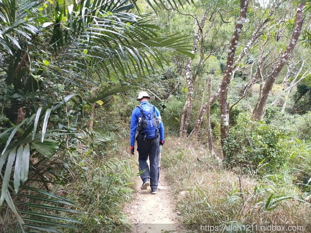 里龍山與浸水營古道 - 第48張圖 里龍山與浸水營古道