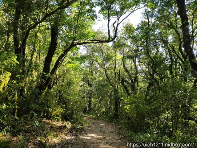 里龍山與浸水營古道 - 第82張圖 里龍山與浸水營古道
