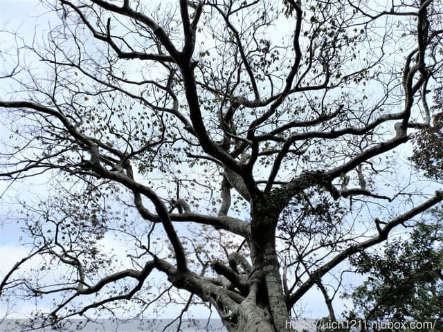 里龍山與浸水營古道 - 第54張圖 里龍山與浸水營古道