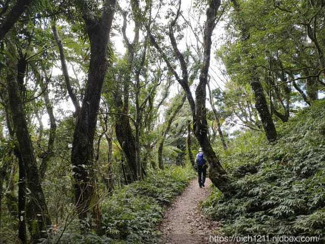 里龍山與浸水營古道 - 第85張圖 里龍山與浸水營古道